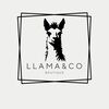 llamaco2024